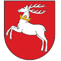 MARSZAŁEK WOJEWÓDZTWA LUBELSKIEGO
